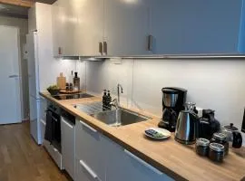 Studio near gondola at Narvikfjell, free parking