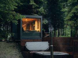 Sidrabgrava - Luxury cabin in woods，位于林巴日的木屋