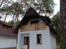 Domek Orle Gniazdo，位于Bocheniec的酒店
