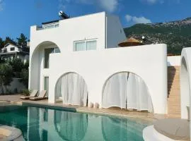 Villa IonX - Heated indoor pool, Sauna, Outdoor Pool,Bathtub, Jacuzzi