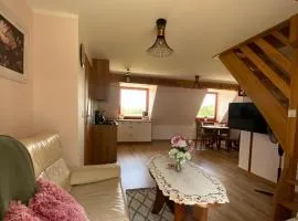 Apartament Pod Ostryszem