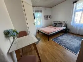 Laura comfy city studio Kappeli 8-2 apartment 29 near Tallinn airport next to the bus station