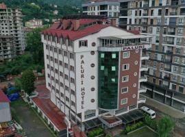 Paluri Otel Hopa，位于霍帕的酒店