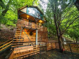 Chalet Nune，位于Makhunts'et'i的酒店