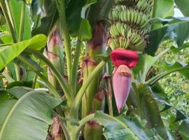 Ratanakiri Farmhouse & Trekking