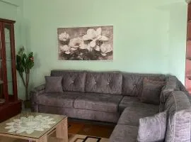 Green Nest Garden House