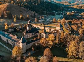 Casa Adi Sucevița，位于Voivodeasa的别墅