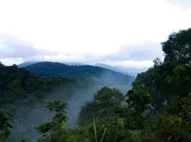 Rain Country Jungle Resort