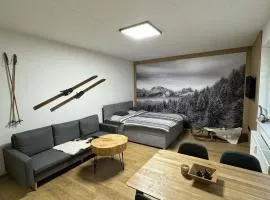 Apartmán Horálek