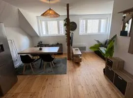 appartement en plein centre, wifi