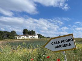 Hotel Casa Pedro Barrera，位于Almudema的酒店