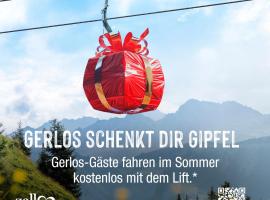 Pension Zillertal，位于盖洛斯的酒店