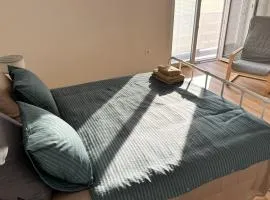 Apartma DUDI