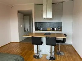 Kristalli Studio with amenities, free parking