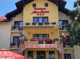 Pensiunea Ana Maria，位于Brad的酒店