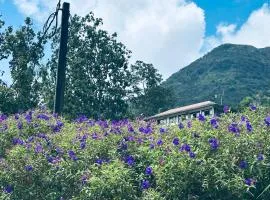 The Dee's at sinharaja