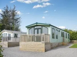 Uk47339 - Evergreen