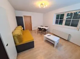 Rent House - Work and Sleep in Neustetten - Ideal für Teams und Monteure bis 4 Personen - Ganze Wohnung - ruhig und kühl im Sommer - eigener Garten mit Grill - easy Check-In - weitere Unterkünfte Vorhanden