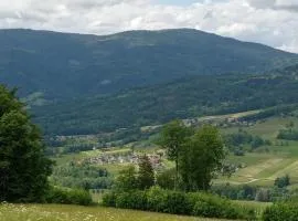 appartement indépendant dans ancien chalet d'alpage