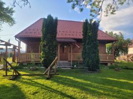 Casa tradițională Bilbor，位于Bilbor的酒店