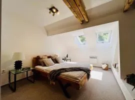 The Mountain Sky Apartment - prostorný loft 198 m2 s lesem za okny vhodný pro rodiny s dětmi, terasa, dětský koutek, parkování zdarma