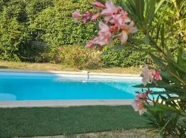 Les hauts de Palaja, villa with pool and parking