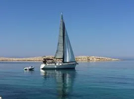 Loza Blue, Premuda island