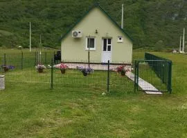 Home Delic Komarnica