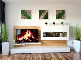 Appartement zur Birke，位于Obertal的酒店