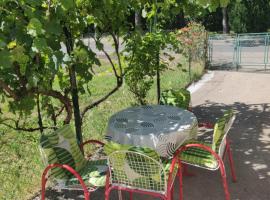 Vila Spas，位于Mataruška Banja的酒店