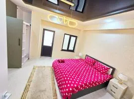 Luxs Apartments in Tashkent with kitchen for 8-10persons ул Шоший64