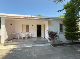 Enea House