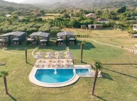 Tommys Village