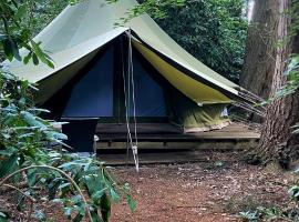 SENSI - glampingtenten midden in de bossen，位于奥斯特坎普的酒店