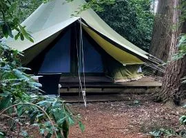 SENSI - glampingtenten midden in de bossen