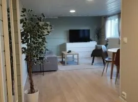 Spacious, quiet and cosy apartment near Kongeparken & Pulpit Rock