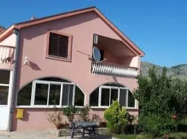 Iva Ivanica