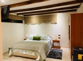 Acogedor céntrico loft，位于Angol的酒店