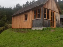 Gscheidegger Hütte，位于Johnsbach的酒店