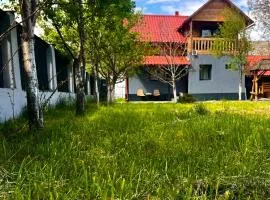 Vila din Grădină