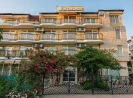 Family Hotel Mimosa，位于茨雷沃的酒店