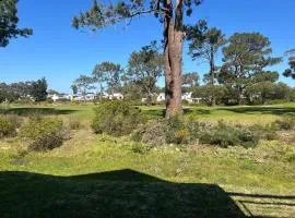 Golfers paradise on 25th green