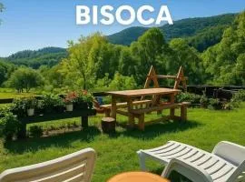 Pensiunea Poiana Marului - Bisoca