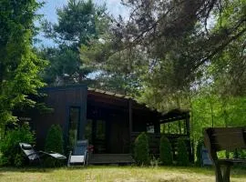 Sarzynówka pod Świerkiem