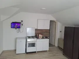 Apartmani Petrušić