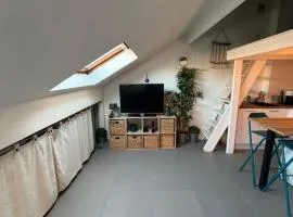 Cosy Rooftop Studio Nice Centre