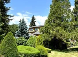 Torre de las Águilas, Bellver, Puigcerdá