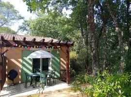 Mazet provençal climatisé 5 pers jardin et parking