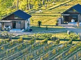 Martyniuk lodges entre viñedos