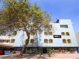 Hotel Gouri Inn，位于比莱的酒店